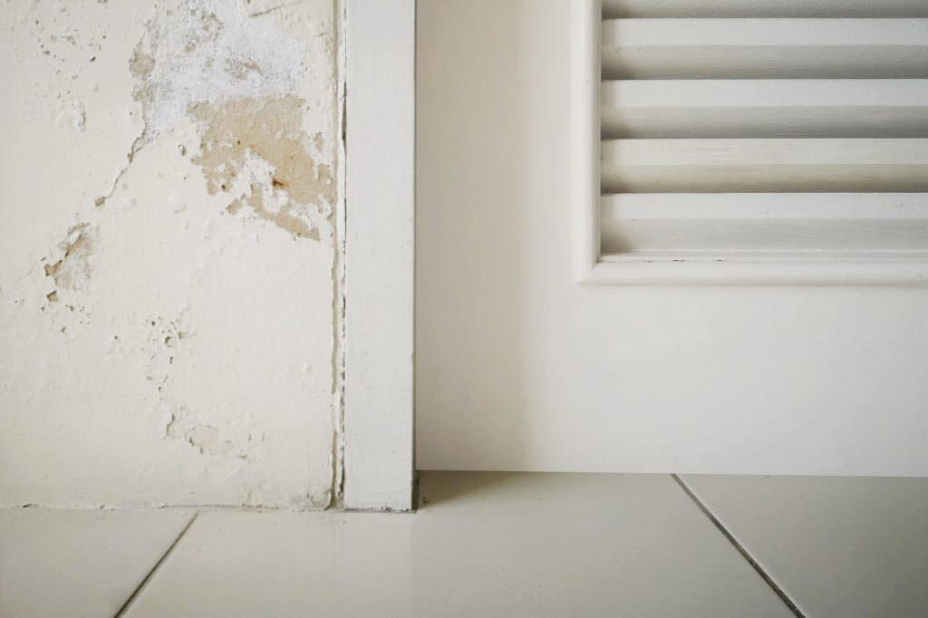 Excessive moisture can cause mold and peeling paint wall such as rainwater leaks or water leaks.