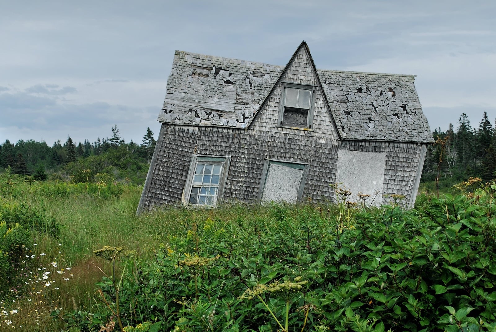gray house near green grass